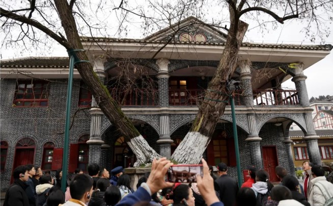 屏幕截图 2026-03-15 095532.jpg